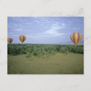 Afrika, Kenia, Masai Mara National Preserve, 2 Briefkaart