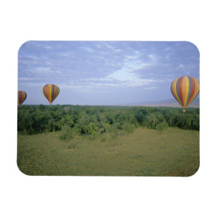 Afrika, Kenia, Masai Mara National Preserve, 2 Magneet