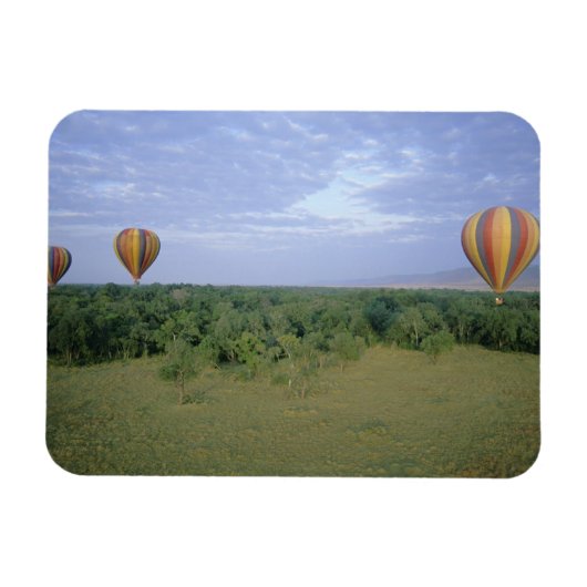 Afrika, Kenia, Masai Mara National Preserve, 2 Magneet (Horizontaal)