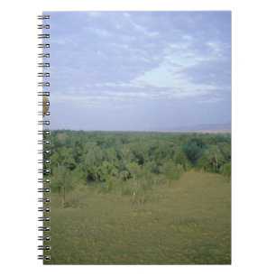 Afrika, Kenia, Masai Mara National Preserve, 2 Notitieboek