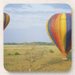 Afrika, Kenia, Masai Mara National Preserve, Bier Onderzetter
