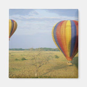 Afrika, Kenia, Masai Mara National Preserve, Magneet