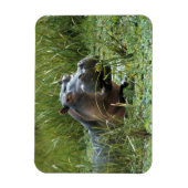 Afrika, Kenia, Masai Mara NR. Een moeder nijlpaard Magneet (Verticaal)