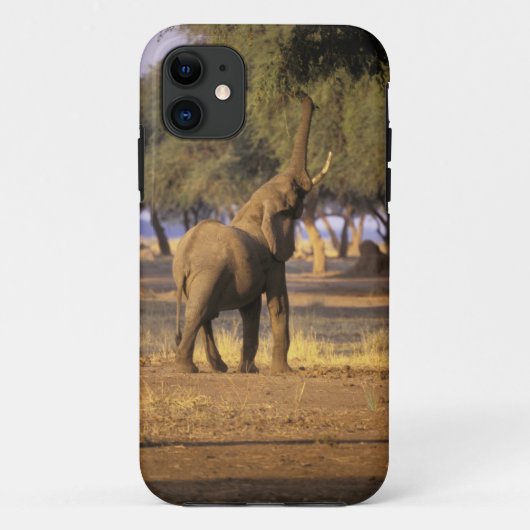 Afrika, Kenia, Masai Mara. Olifant (Loxodonta Case-Mate iPhone Case (Achterkant)