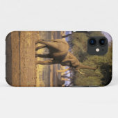 Afrika, Kenia, Masai Mara. Olifant (Loxodonta Case-Mate iPhone Case (Achterkant (horizontaal))