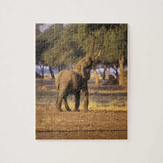 Afrika, Kenia, Masai Mara. Olifant (Loxodonta Legpuzzel (Verticaal)