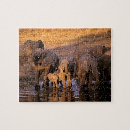 Afrika, Kenia, Masai Mara. Olifanten (Loxodonta Legpuzzel (Horizontaal)
