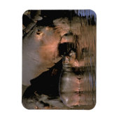 Afrika, Kenia, Masai Mara. Vaak voorkomende hippop Magneet (Verticaal)