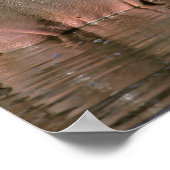 Afrika, Kenia, Masai Mara. Vaak voorkomende hippop Poster (Hoek)