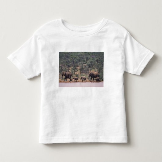 Afrika, Kenia, Nanyuki, Mpala. Afrikaans Kinder Shirts (Voorkant)