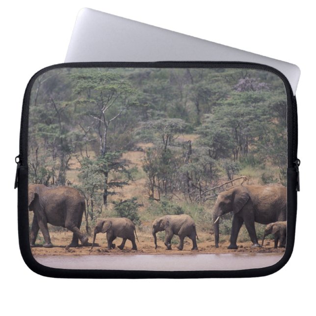 Afrika, Kenia, Nanyuki, Mpala. Afrikaans Laptop Sleeve (Voorkant)