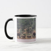 Afrika, Kenia, Nanyuki, Mpala. Afrikaans Mok (Links)