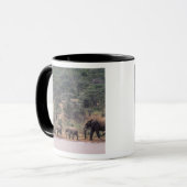 Afrika, Kenia, Nanyuki, Mpala. Afrikaans Mok (Voorkant links)