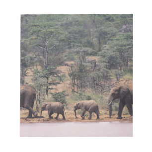 Afrika, Kenia, Nanyuki, Mpala. Afrikaans Notitieblok