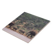 Afrika, Kenia, Nanyuki, Mpala. Afrikaans Tegeltje (Zijkant)