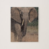 Afrika, Kenia, Nanyuki, Mpala. Afrikaanse olifant. Legpuzzel (Verticaal)