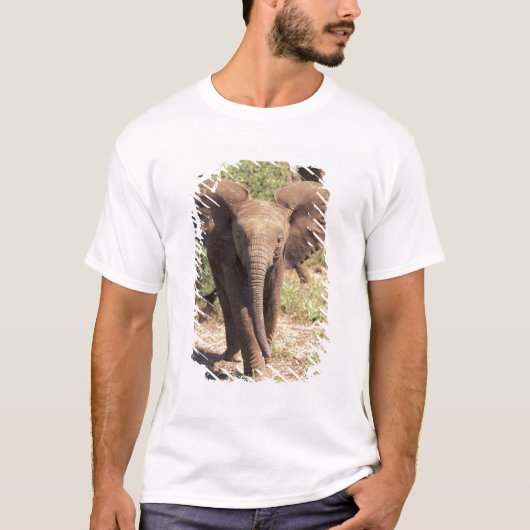 Afrika, Kenia, Nationaal Park Amboseli. Afrika 2 T-shirt (Voorkant)