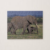 Afrika, Kenia, Nationaal Park Amboseli. Afrikaans  Legpuzzel (Horizontaal)