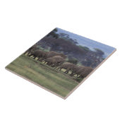 Afrika, Kenia, Nationaal Park Amboseli. Afrikaans  Tegeltje (Zijkant)