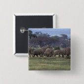 Afrika, Kenia, Nationaal Park Amboseli. Afrikaans  Vierkante Button 5,1 Cm (Voorkant /achterkant)