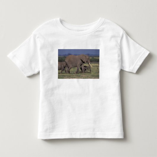 Afrika, Kenia, Nationaal park Amboseli. Afrikaanse Kinder Shirts (Voorkant)