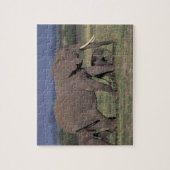 Afrika, Kenia, Nationaal park Amboseli. Afrikaanse Legpuzzel (Verticaal)