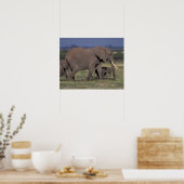 Afrika, Kenia, Nationaal park Amboseli. Afrikaanse Poster (Keuken)