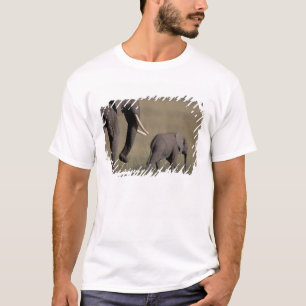Afrika, Kenia, Nationaal park Amboseli. Afrikaanse T-shirt