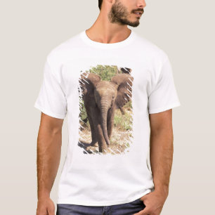 Afrika, Kenia, Nationaal park Amboseli. Afrikaanse T-shirt