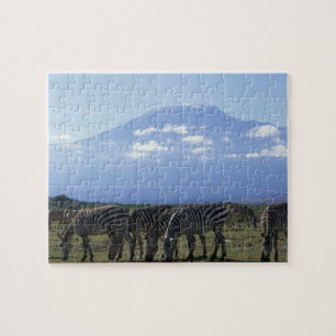 Afrika, Kenia, Nationaal park Amboseli, Kudde van Legpuzzel