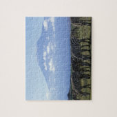 Afrika, Kenia, Nationaal park Amboseli, Kudde van Legpuzzel (Verticaal)