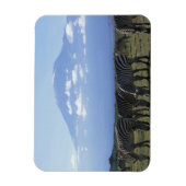 Afrika, Kenia, Nationaal park Amboseli, Kudde van Magneet (Verticaal)