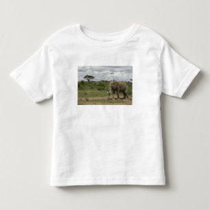 Afrika, Kenia, Nationaal park Amboseli, olifant, Kinder Shirts