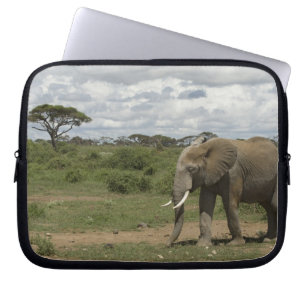Afrika, Kenia, Nationaal park Amboseli, olifant, Laptop Sleeve