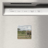 Afrika, Kenia, Nationaal park Amboseli, olifant, Magneet (Insitu (Vaatwasser))