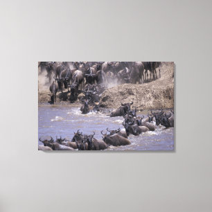 Afrika, Kenia, Nationaal Park Masai Mara. Canvas Afdruk