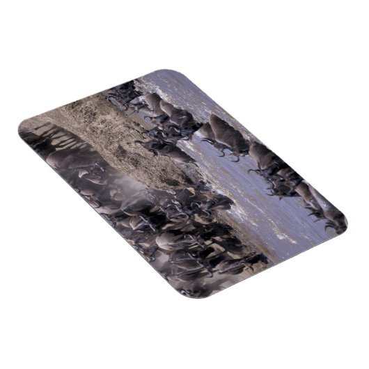 Afrika, Kenia, Nationaal Park Masai Mara. Magneet (Rechterzijde)