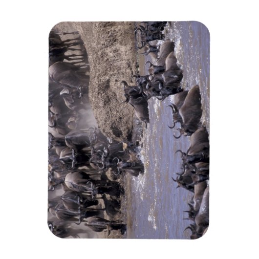 Afrika, Kenia, Nationaal Park Masai Mara. Magneet (Verticaal)