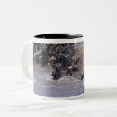 Afrika, Kenia, Nationaal Park Masai Mara. Tweekleurige Koffiemok (Voorkant links)