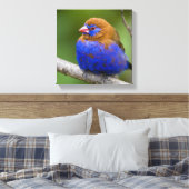 Afrika. Kenia. Paarse Grenadier Canvas Afdruk (Insitu (Slaapkamer))