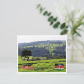 Afrika - Kenia - Panorama - Briefkaart (Staand voorkant)
