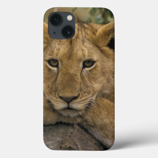 Afrika, Kenia. Portret van een leeuw. Case-Mate iPhone Case (Achterkant)