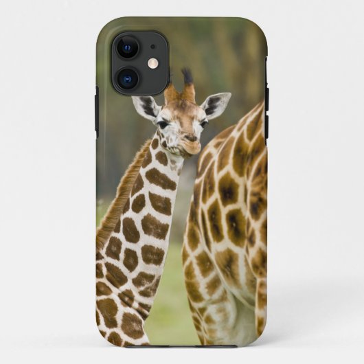 Afrika. Kenia. Rothschild's Giraffe baby Case-Mate iPhone Case (Achterkant)