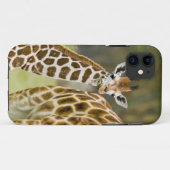 Afrika. Kenia. Rothschild's Giraffe baby Case-Mate iPhone Case (Achterkant (horizontaal))
