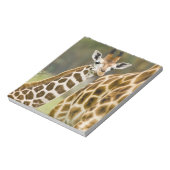 Afrika. Kenia. Rothschild's Giraffe baby Notitieblok (Linkerzijde)