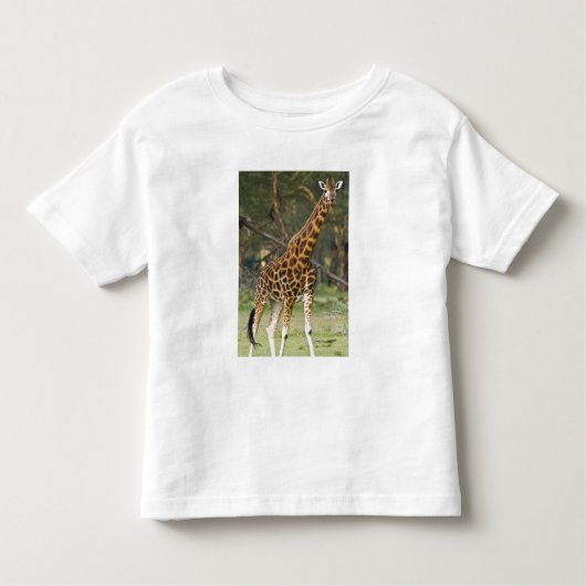 Afrika. Kenia. Rothschild's Giraffe bij het meer v Kinder Shirts (Voorkant)