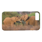 Afrika, Kenia, Samburu. Elephant-uitdaging Case-Mate iPhone Case (Achterkant (Horizontaal))