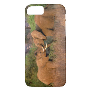 Afrika, Kenia, Samburu. Elephant-uitdaging Case-Mate iPhone Case