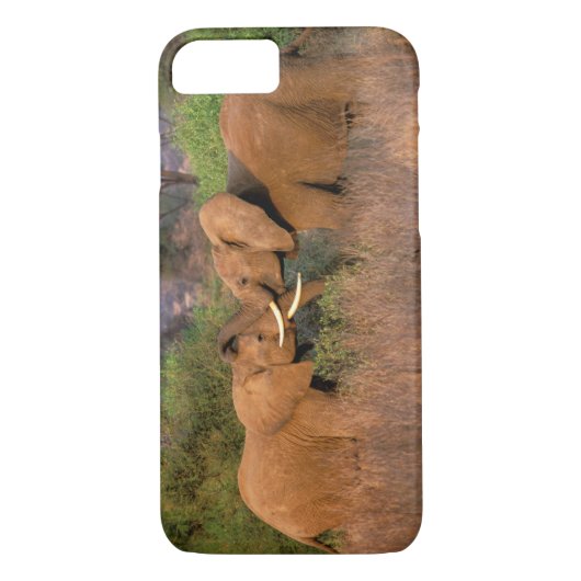 Afrika, Kenia, Samburu. Elephant-uitdaging Case-Mate iPhone Case (Achterkant)