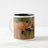 Afrika, Kenia, Samburu. Elephant-uitdaging Tweekleurige Koffiemok (Voorkant links)